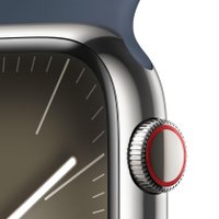 Умные часы Apple Watch Series 9 LTE 41 мм (корпус из нержавеющей стали, серебристый/грозовой синий, спортивный силиконовый ремешок S/M)