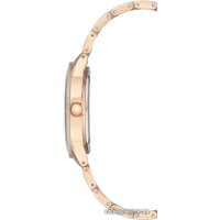 Наручные часы Anne Klein 3160TNRG