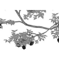 Книга издательства Черным-бело. Имя ей Хель (Кондрацкая Елена) в Бресте