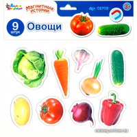 Развивающая игра Десятое королевство Магниты Овощи 02709