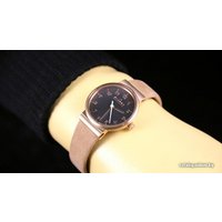 Наручные часы Skagen SKW2189