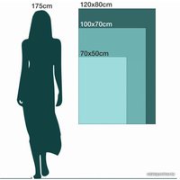 Картина на стекле Stamprint Волга 21 VR015 (70x50)