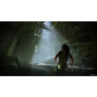  Shadow of the Tomb Raider для PlayStation 4