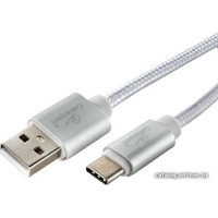 Кабель Cablexpert USB Type-A - USB Type-C CC-U-USBC02S-3M (3 м, серебристый)