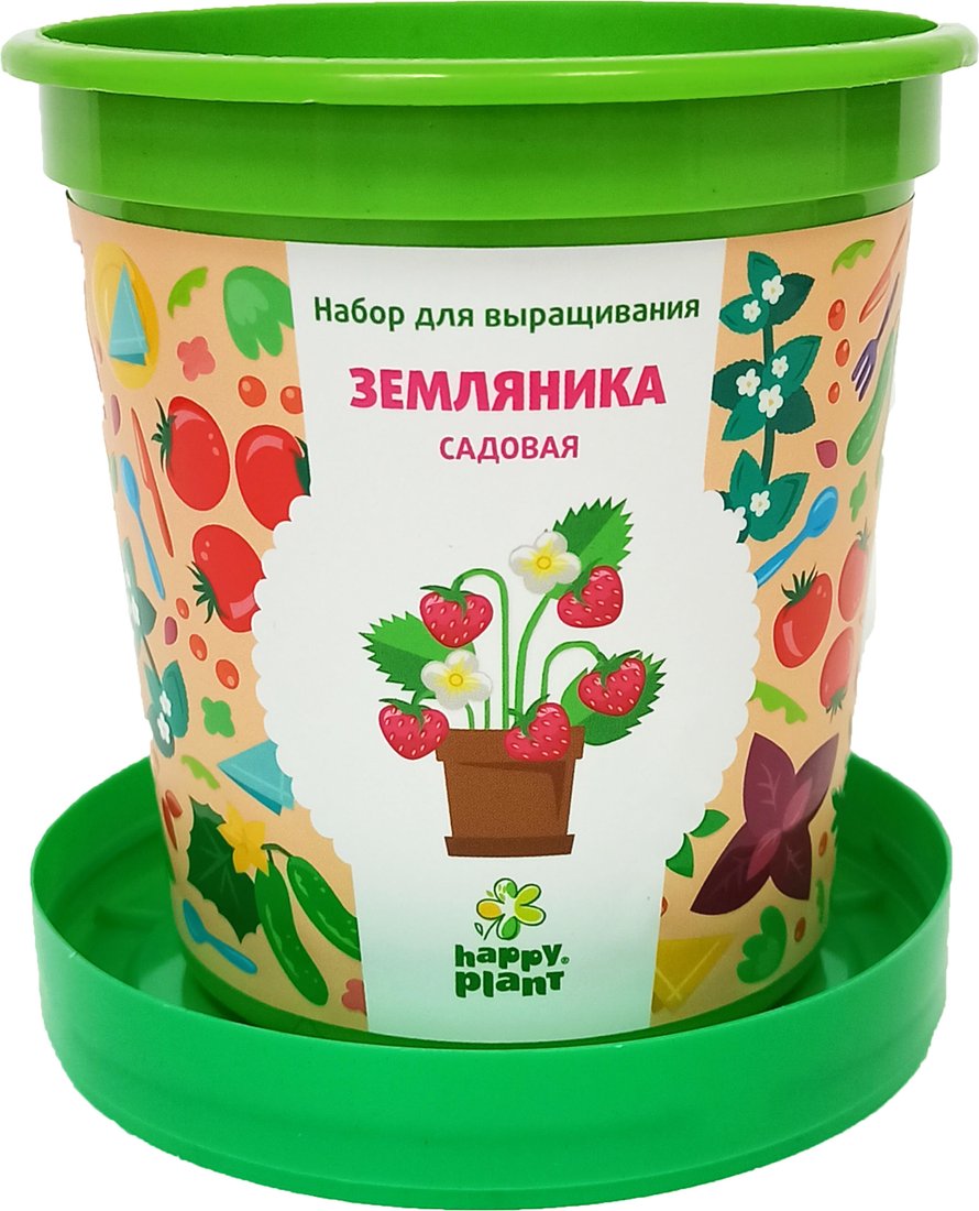 

Набор для опытов Happy plant Земляника садовая hpn-26