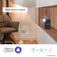 Умная розетка Rubetek RE-3305