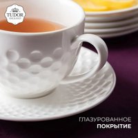 Сервиз Tudor England TUC3570