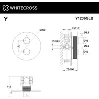 Смеситель Whitecross Y Y1236GLB (брашированное золото)