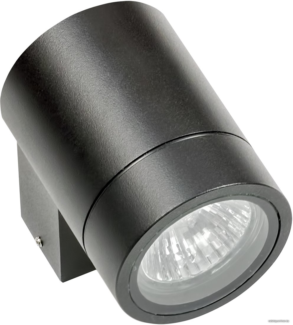 Фасадный светильник Lightstar Paro 350607