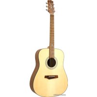 Акустическая гитара Randon RGI-01