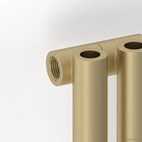 Стальной трубчатый радиатор Сунержа Эстет-0 500х225 5 секций (матовая шампань)