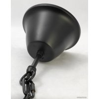 Подвесная люстра Lussole LOFT-11 LSP-9300 в Мозыре