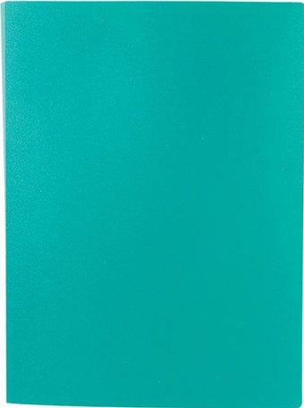 Папка для бумаг Lite NP0151-30ВG с файлами