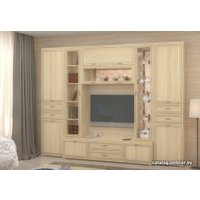 Горка Лером Карина №3 гостиная (ясень асахи) в Лиде