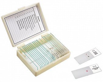 

Микромед Зоология 22749