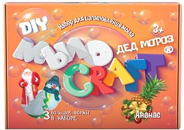 

Набор для опытов Инновации для детей Мыло Craft. Дед Мороз. Ананас 897