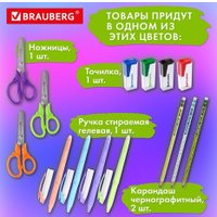 Набор школьника BRAUBERG Подарочный 880951 (43 предмета)