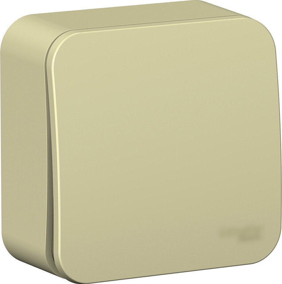 

Выключатель Systeme Electric Blanca BLNVA106017 (бежевый)