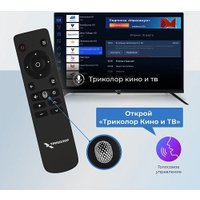 Телевизор Триколор P24HH302