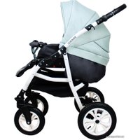 Универсальная коляска Smile Line Serenade 20 (2 в 1, Se 22)