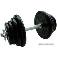 Гантель American Fitness гантель обрезиненная 10 кг