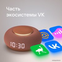 Умная колонка VK Капсула Мини (терракотовый)