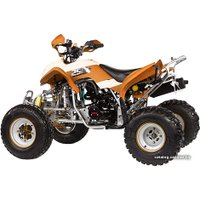 Квадроцикл IRBIS ATV 250S