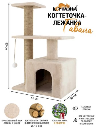 Комплекс КотоЛэнд Гавана (молочный)