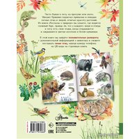 Книга издательства АСТ. Рассказы о природе (Пришвин Михаил Михайлович)