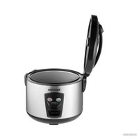 Рисоварка Concept RE2020