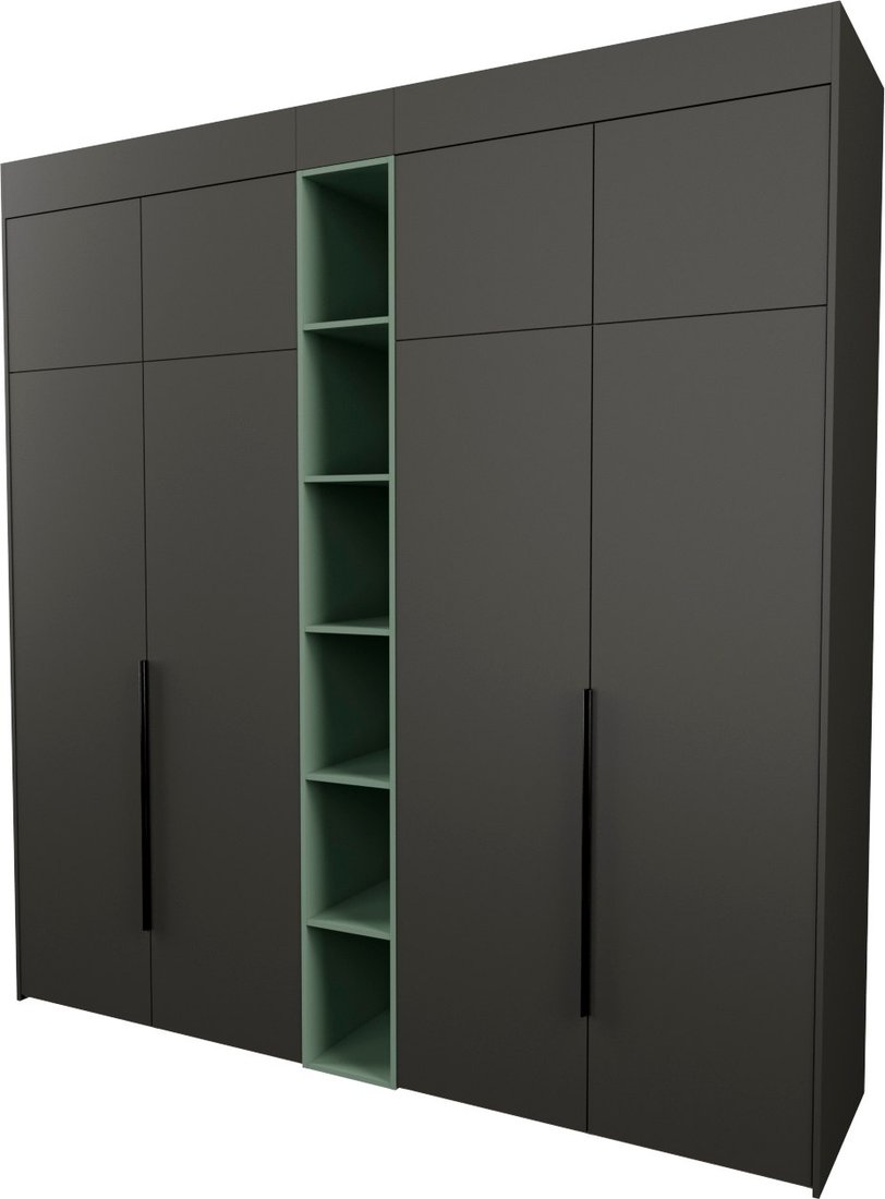 

Шкаф распашной Рэйгрупп Рэй S245-В10-2-WKZ В10-2 (дуб веллингтон/кобальт/зеленый самшит)