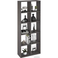 Стеллаж Кортекс-мебель Дельта-10 км.02539 71x175 (береза)