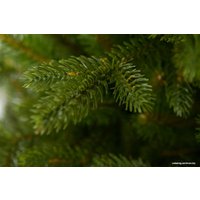 Ель GreenTerra Аляска темная 1.2 м