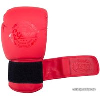 Боевые перчатки Fight Expert BGS-V010 10 Oz (красный)