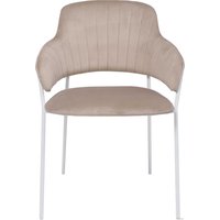 Стул с подлокотниками Алвест AV 448 (серо-бежевый бархат H-08/белый)