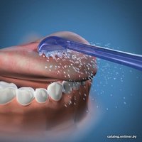 Насадка-щетка Waterpik Water Flosser Tongue Cleaner TC-100E
