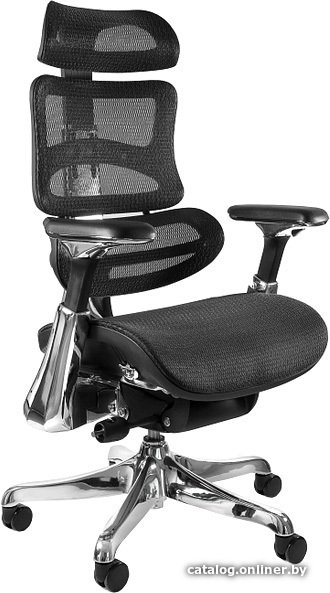 Офисное кресло UNIQUE Ergothrone CM-B37A (черный)