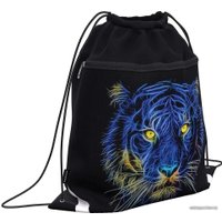 Мешок для обуви Erich Krause 50x41 Night Lion 57041 (с карманом на молнии)