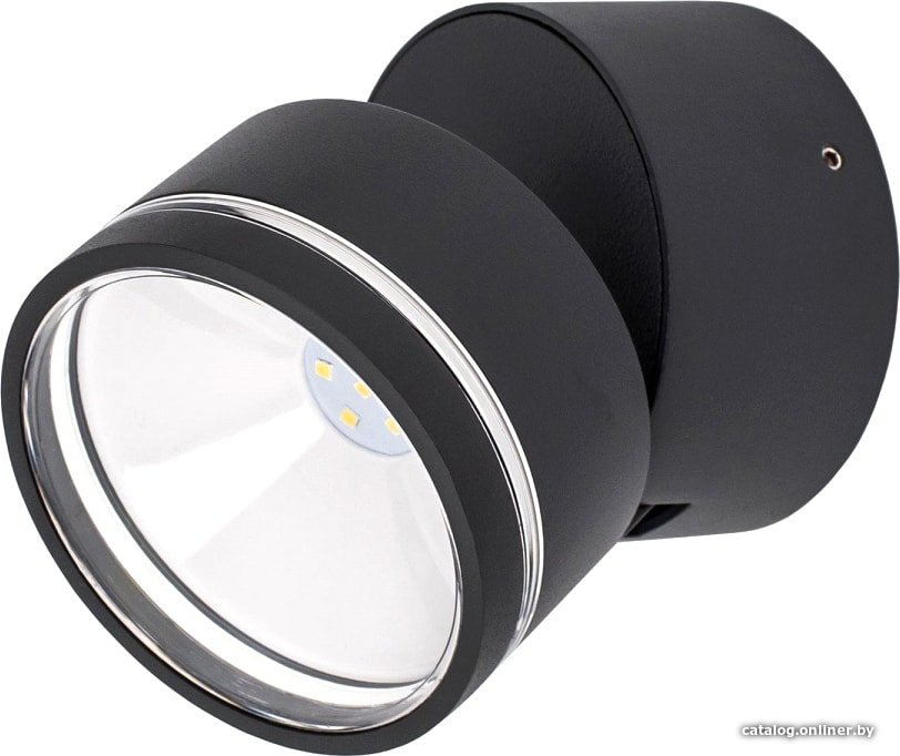 Уличный настенный светильник Citilux CLU0008R