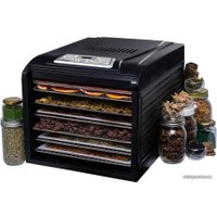 Сушилка для овощей и фруктов Rawmid Dream Vitamin DDV-07 (черный)