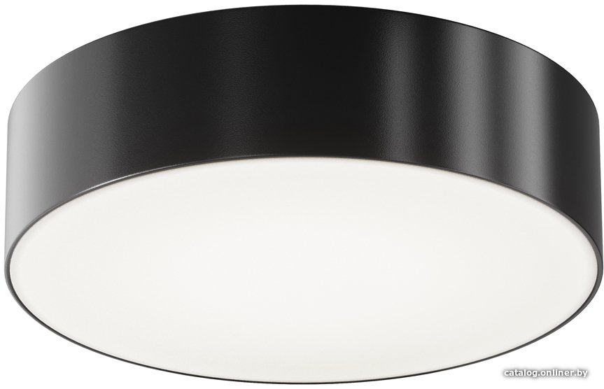 Уличный подвесной светильник Maytoni Zon IP O431CL-L30B4K