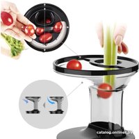 Соковыжималка Hurom H100S (бежевый)