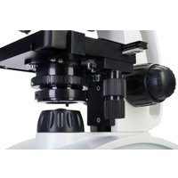Микроскоп Levenhuk Discovery Atto Polar с книгой 77992