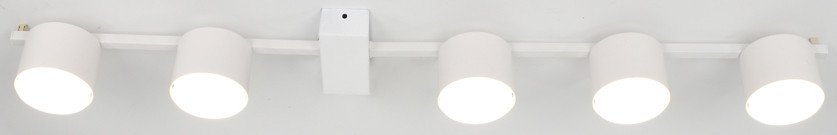 

Припотолочная люстра General Lighting GCHL-5GX53-M 662339