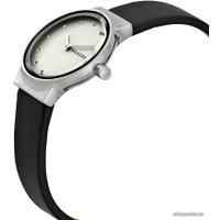 Наручные часы Skagen SKW2668