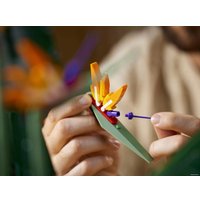 Конструктор LEGO Creator Expert 10289 Райская птица