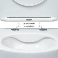 Унитаз подвесной Berges Wasserhaus Ventas Black Rimless + Visam Slim 525 EX-043324 (с сиденьем)