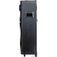 Патибокс Aiwa CAS-1001