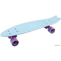 Пенниборд Tech Team Fishboard 23" 2021 (голубой)