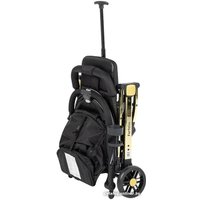 Коляска прогулочная «книга» Farfello Comfy Go Comfort CG-201 (черный/золото)